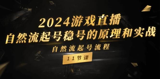 2024游戏直播-自然流起号稳号的原理和实战，自然流起号流程（11节）-各种盘口搭建,软件开发,维护,定制