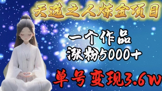 天选之人炼金项目，一个作品涨粉5000+，单号变现3.6w【揭秘】-各种盘口搭建,软件开发,维护,定制