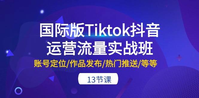 国际版Tiktok抖音运营流量实战班：账号定位/作品发布/热门推送/等等-13节-各种盘口搭建,软件开发,维护,定制