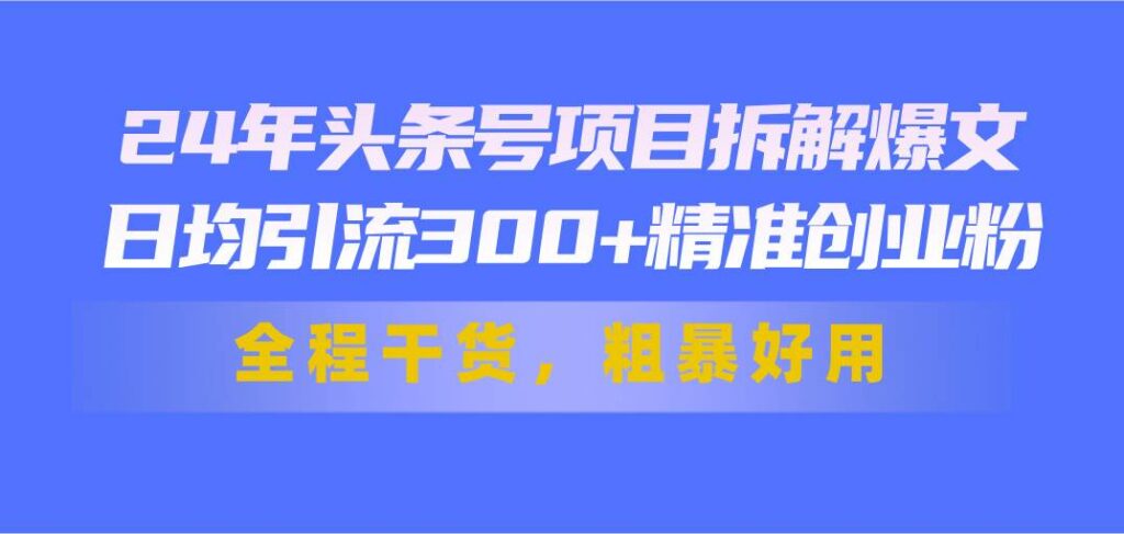 24年头条号项目拆解爆文，日均引流300+精准创业粉，全程干货，粗暴好用-各种盘口搭建,软件开发,维护,定制