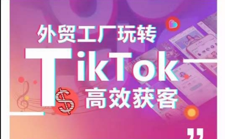 外贸工厂玩转TikTok高效获客，多种引流方式与账号定位技巧，拆解爆款短视频打造成功案例-各种盘口搭建,软件开发,维护,定制