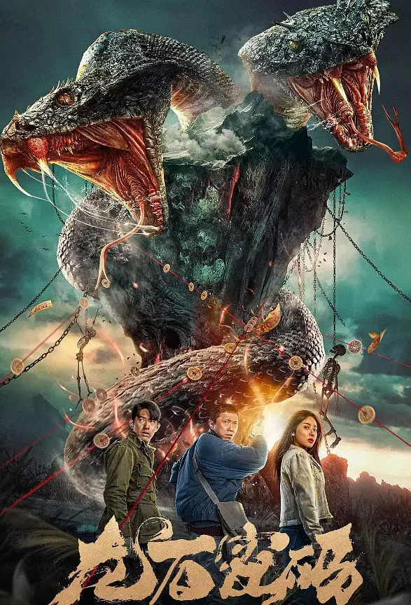 龙石密码 (2024) 4K&1080p-各种盘口搭建,软件开发,维护,定制