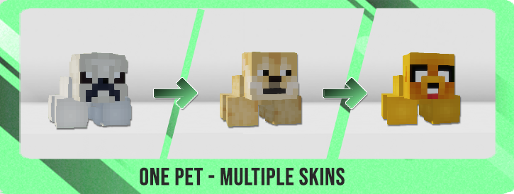 1.17 – 1.20.6 ⭕ AdvancedPets ⭐ 16+ 动画自定义宠物插件 ⭐ 原版和自定义宠物 ✅ 2.9.14插图9