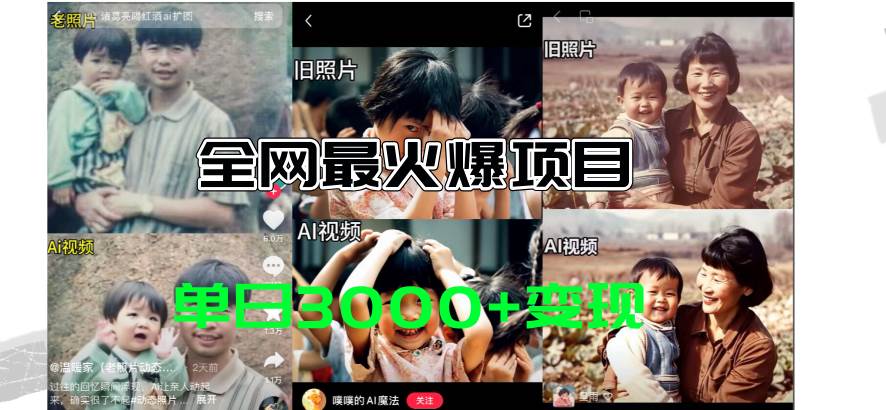 全网爆火的AI让老照片动起来教程，蹭热点日赚3000+，内含免费工具一键-各种盘口搭建,软件开发,维护,定制