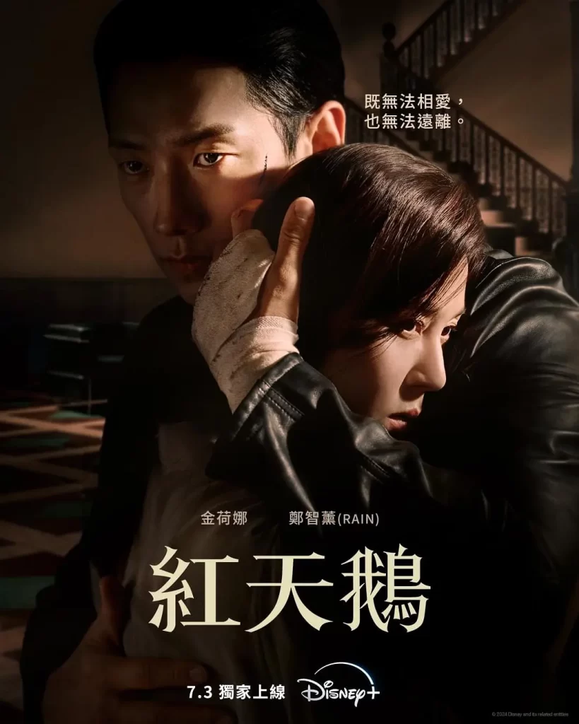 红天鹅丨爱情 悬疑丨韩国2024更至02-各种盘口搭建,软件开发,维护,定制