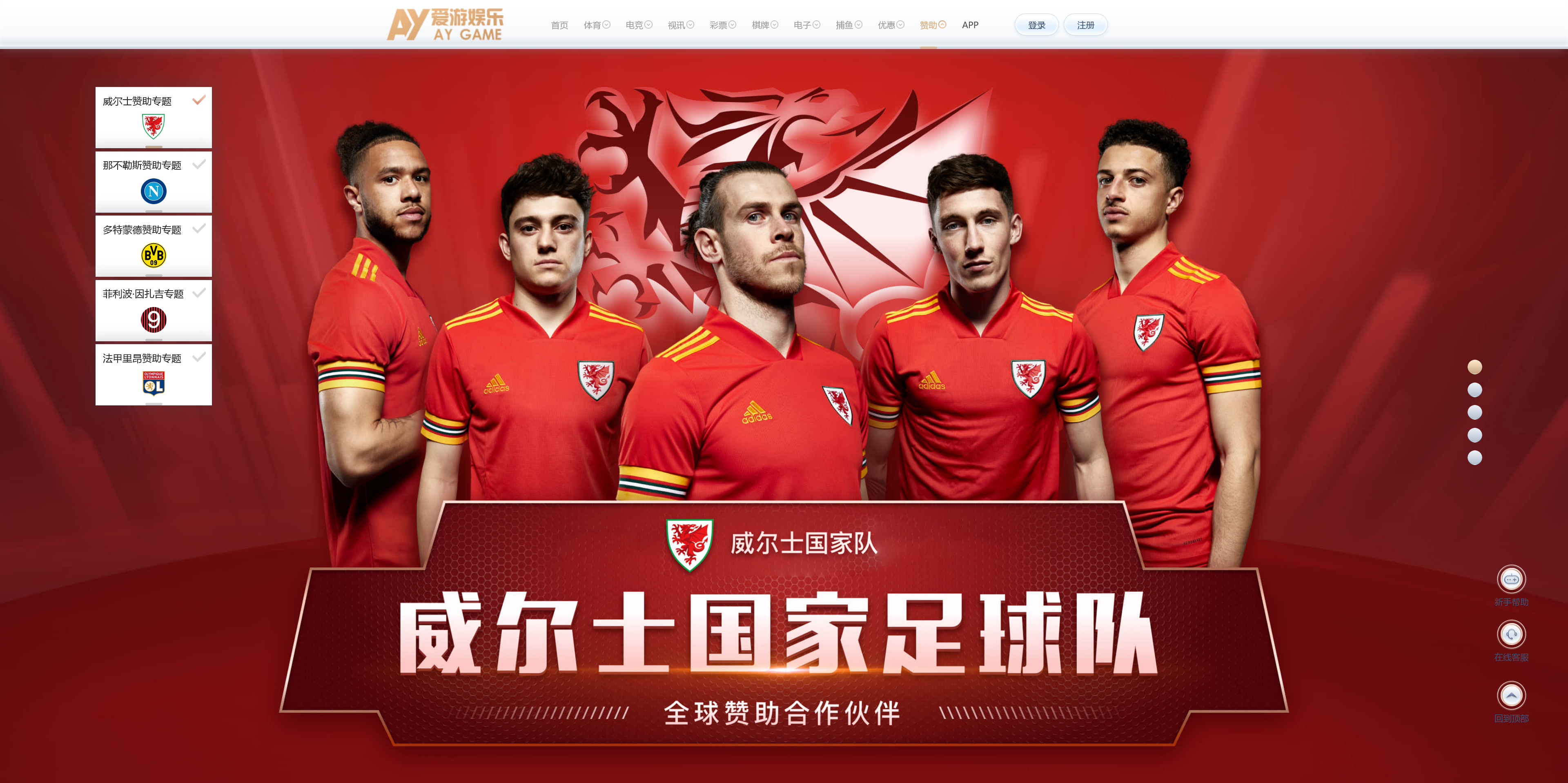 美盛系列包网模板爱游+搭建教程插图13