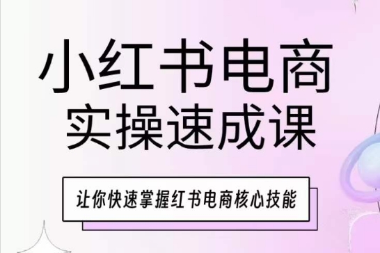 小红书电商实操速成课，让你快速掌握红书电商核心技能-各种盘口搭建,软件开发,维护,定制