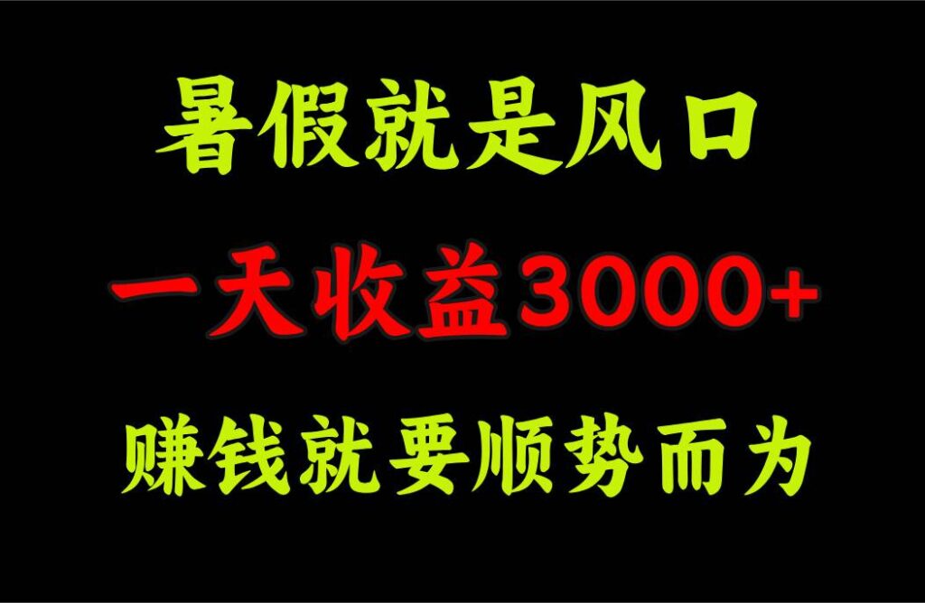 一天收益3000+ 赚钱就是顺势而为，暑假就是风口-各种盘口搭建,软件开发,维护,定制