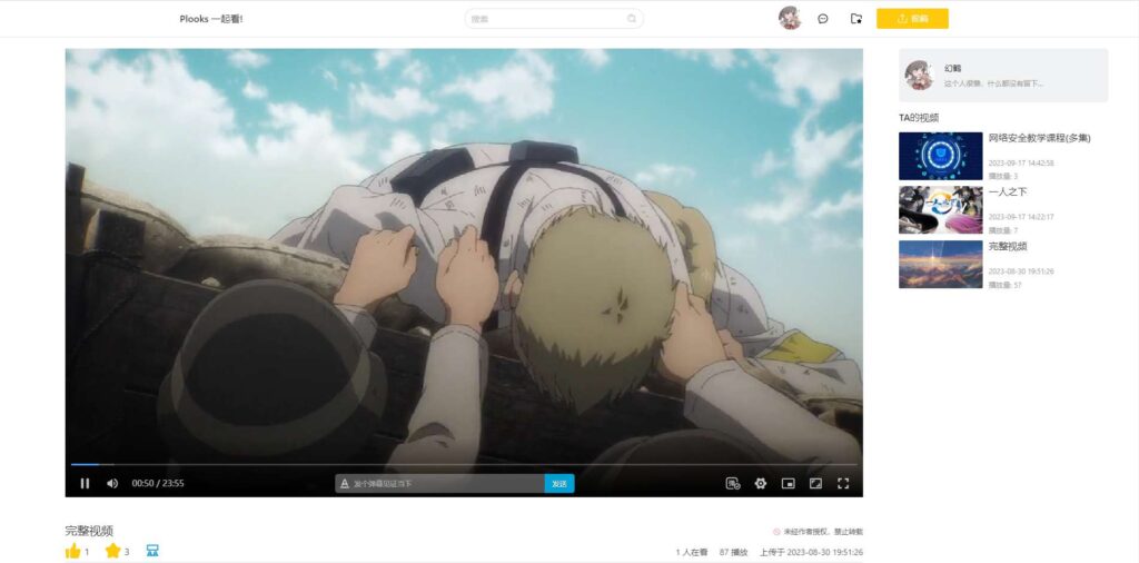 Plooks大型视频在线一起看网站源码插图2