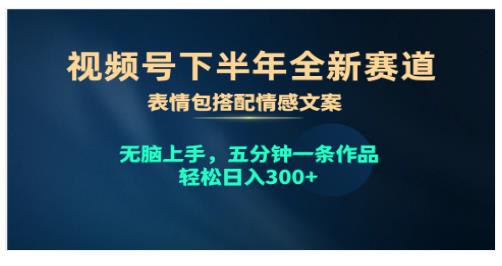 视频号下半年全新赛道，表情包搭配情感文案 无脑上手，五分钟一条作品-各种盘口搭建,软件开发,维护,定制
